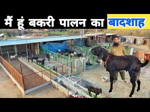 बकरी पालन से खड़ा किया करोड़ का व्यवसाय | Goat farmers in india