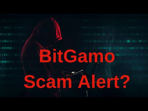 BitGamo Scam Alert? | An Honest BitGamo Review