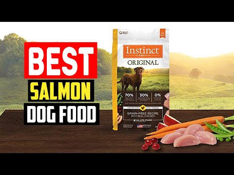 ✅Top 5 Best Salmon Dog Food in 2023