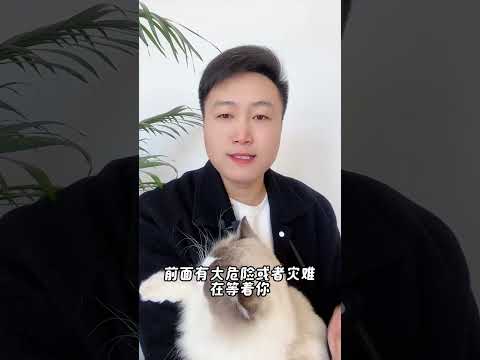 猫咪这些反常行为，都是在救。养猫经验分享 科学养宠攻略 养猫人 猫咪驱虫 新手养猫