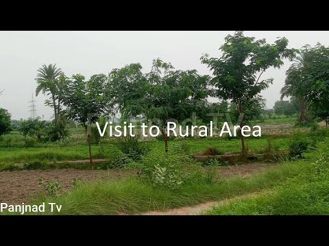 Visit To Rural Area 2020