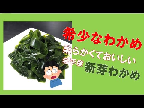 茎ごと食べられる！岩手産の新芽わかめ