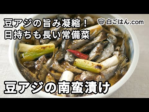 豆アジの南蛮漬け／旨み凝縮・日持ちも長い常備菜