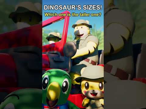 Dinosaur's Sizes! #shorts #shimajiro #toddlers