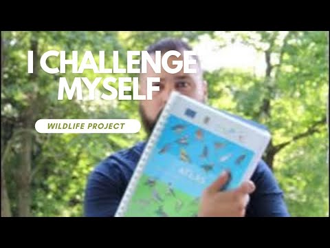 New  wildlife project! a big challenge for me !