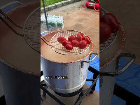 Making 200 jars of tomato sauce