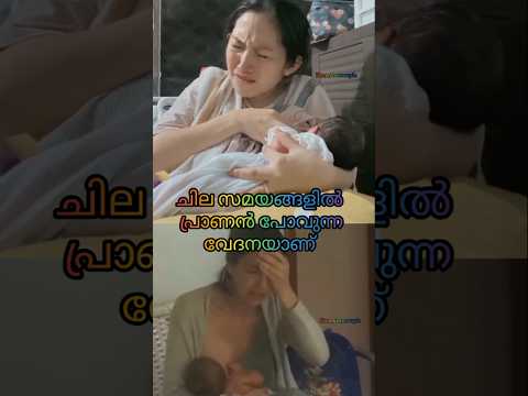 Is Relatable👩‍🍼👩‍🍼പ്രാണൻ പോണ വേദനയാണ് 👩‍🍼👩‍🍼#youtubeshorts #pregnancy #shorts #postpartum