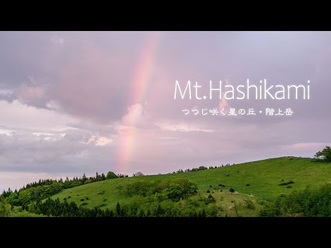 Time Lapse #123 階上岳・つつじ咲く星の丘 Mt.Hashikami 2020 4K