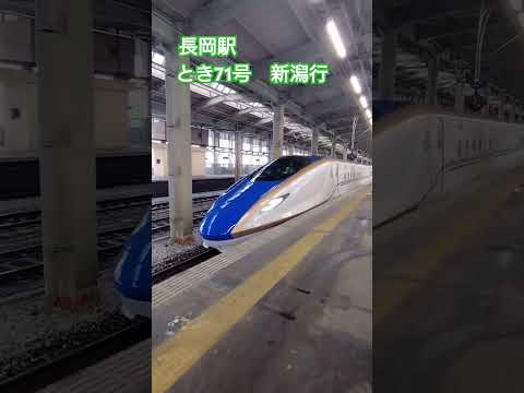 とき71号新潟行　長岡駅発車#とき#臨時#新幹線#上越新幹線#JR東日本