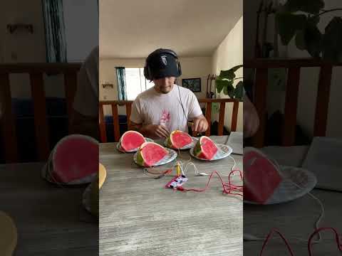 Playing "Watermelon Sugar" with watermelons 🍉