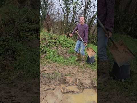 Woodland Mound Feature #landscaping #permaculture #fitnessmotivation #mud #exercise #adventure