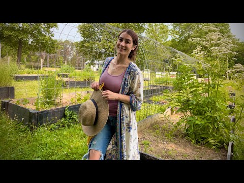 Perfectly Imperfect Medicinal Garden Tour! Weeds and ALL!