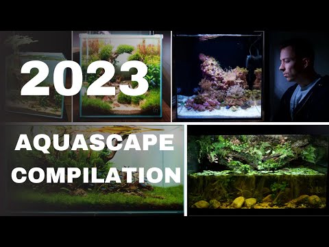 MY TOP 10 BEST AQUARIUM SETUPS FROM 2023!