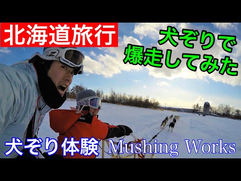 【北海道】犬ぞりに乗って北の大地を走り回ってみた『マッシングワークス』