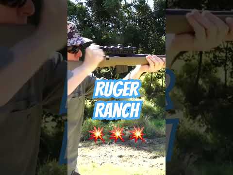 Ruger Ranch Rifle #ozziereviews #ruger #rugerranch #223 #762x39 #shooting #rifle #gun #firearms