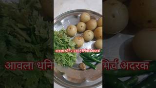 Amla Chutney Recipe |Gooseberry Chutney |आंवले की चटनी |#short #viral  #shorts#chatni #youtubeshorts