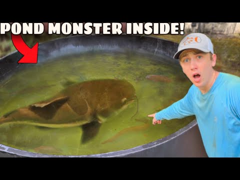 I Found a MONSTER Living in My Pond!