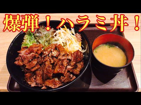 柔らかくて旨い肉とご飯400g！最高のハラミ丼！