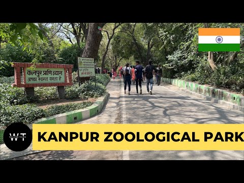 India 🇮🇳 Kanpur | India walking tours | Kanpur zoological park