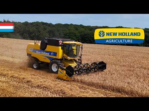 The first barley falls | New Holland CSX7050 | Luxembourg 2024