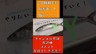 今の時期も旨い！西京漬けが有名なあのお魚！！ #料理 #cooking #捌く #shorts #魚