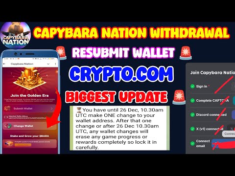 Capybara Nation Wallet Connect l Capybara Nation withdrawal l Capybara Nation Resubmit Wallet