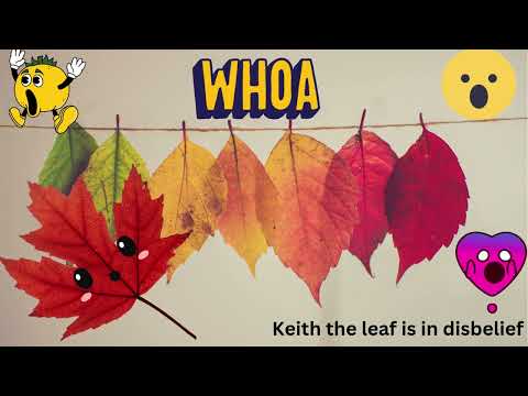 Keith the Leaf