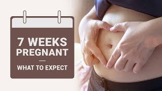 7 Week Pregnant - What to Expect?