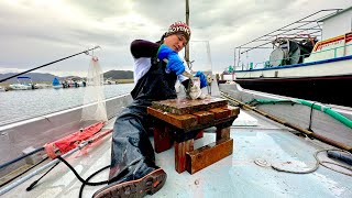 Japanese Fisherman Tried to Recreate the Classic Fisherman's Meal Using the Fish He Caught