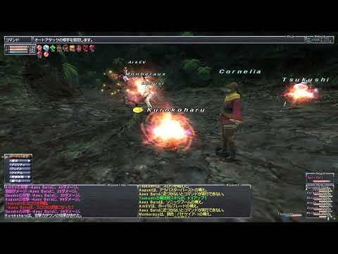 【FF11】からくり士マトン魔法戦スキル上げ【つらい】