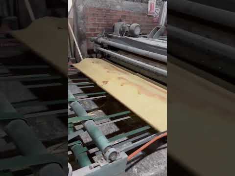 Veneer factory #viralvideo #industrial #shorts #factory