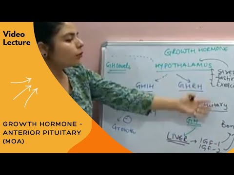 Anterior Pituitary - Growth Hormone and it's Mechanism of Action I by Dr. Nikita