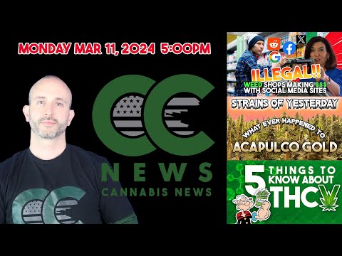 Cannabis News Update – Illegal NY Pot Shops Thriving, Strains from Yesterday Accapulco Gold , ..THCV