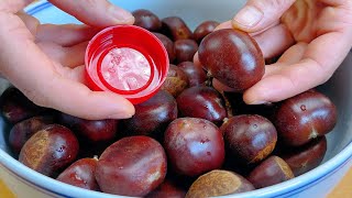 It turns out that peeling chestnut shells is so simple, only one bottle cap is needed, one in a few