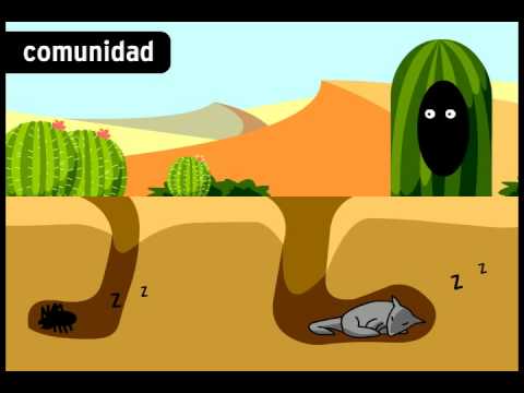 Ecosistemas - BrainPOP Español