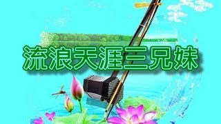 流浪天涯三兄妹【二胡演奏】