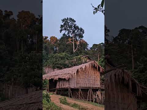 BANDARBAN.#reels #reelsvideoシ #naturelovers #naturephotography #nature #NaturalBeauty #Bandarban