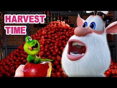 Booba - Autumn Harvest Fun - Cartoon for kids