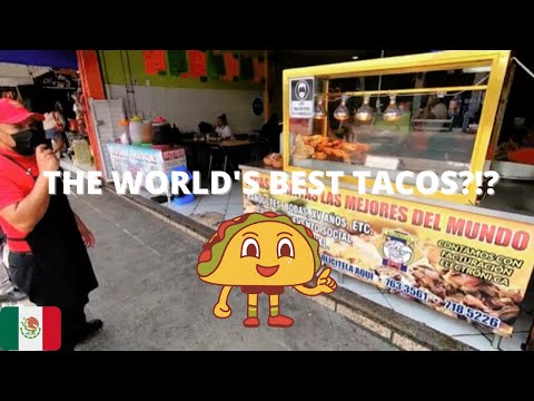 🇲🇽🌮 The Best Tacos In The World?!? Carnitas Rodrigo in León, Guanajuato, México! 🌮🇲🇽