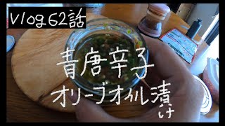 【 VLOG62話　青唐辛子オリーブオイル 漬け 】 唐辛子オイル漬け /  ハエトリグサ 回復 / 玉ねぎ苗づくり