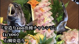 『姿造り100魚種チャレンジ』(1/100)【石鯛姿造り】🐟見栄えする姿造りの作り方🐟花造り・薄造りの作り方を完全解説