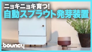 家庭で新鮮なスプラウトが楽しめる！自動発芽システム「AutoSprout」