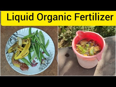 Liquid Organic Fertilizer Making At Home 😱🌿 | ऑर्गेनिक खाद को बनाए घर पर | #organicfertilizer