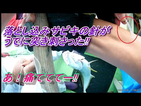 Drop fishing (kingfish yellowtail, etc.) (off Hirado Goto Island, Nagasaki ) Fish hook on the arm!!