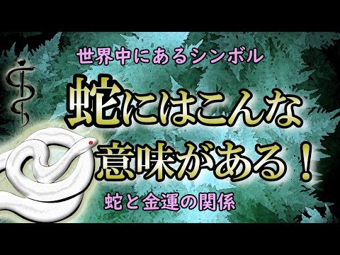 【金運】蛇は神の使いで幸運の象徴｜蛇が夢に出てきたら？蛇の夢診断【アスクレピオス】