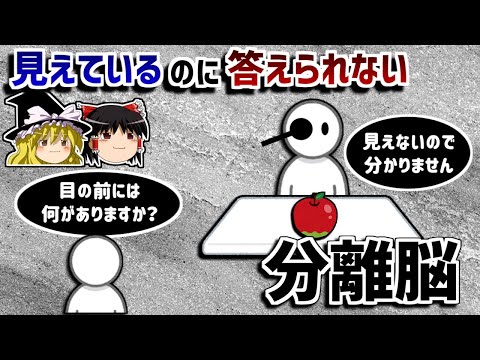 【ゆっくり解説】右脳と左脳を切断することにより起こる不可思議な現象－分離脳－