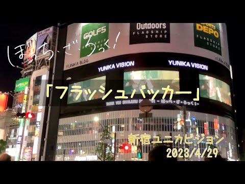 【ぼっち・ざ・ろっく！】SPECIAL STUDIO LIVE　「フラッシュバッカー」新宿ユニカビジョン 2023/4/29