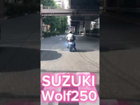 20240905 【スー バイクチャンネル】Suzuki Wolf 250   #shortsfunny