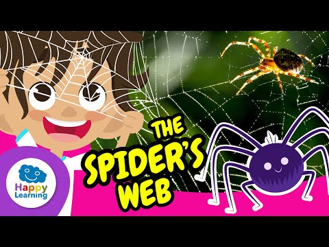 The Spider Web and Its Incredible Secrets | Happy Learning 🕸️🕷️🌍