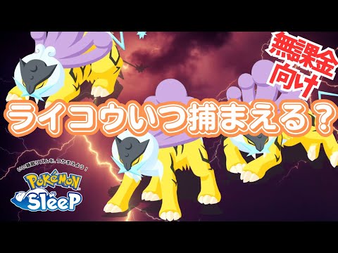 【ポケモンスリープ】 無課金向け！ライコウのゲットタイミング考察 ゲットするのは4月以降！？